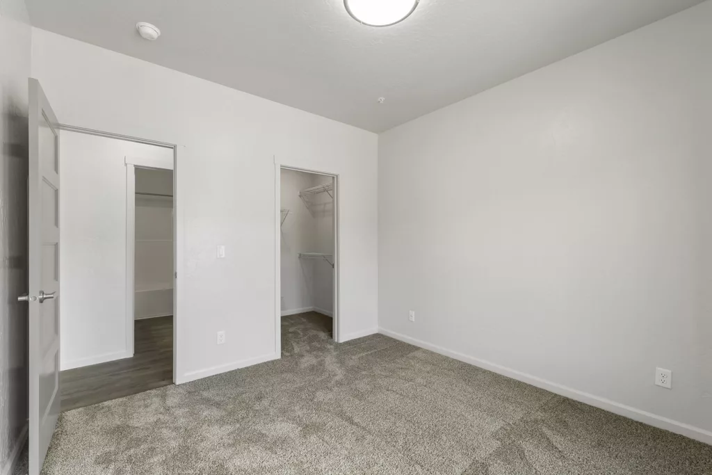 An empty room with beige carpet, white walls, a closed door to the left, and an open closet with wire shelving.