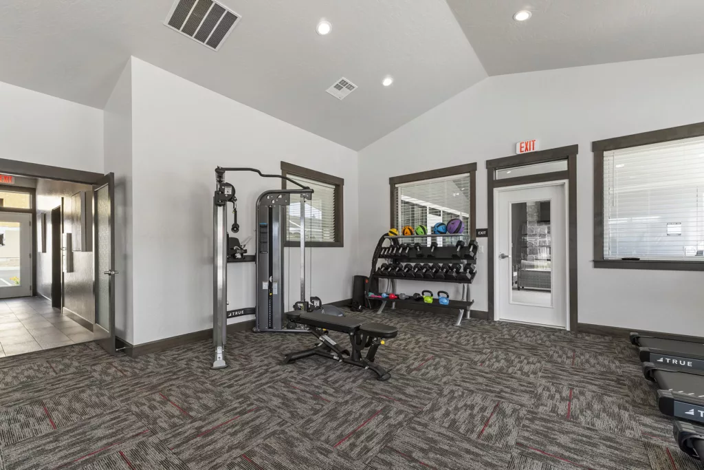 A modern gym room featuring weightlifting equipment, including a weight bench and a cable machine, with a rack of dumbbells and colorful medicine balls against the wall. The room has carpeted floors and is well-lit with overhead lights and natural light from windows.
